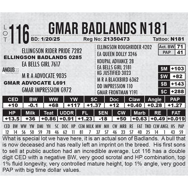 GMAR Badlands N181