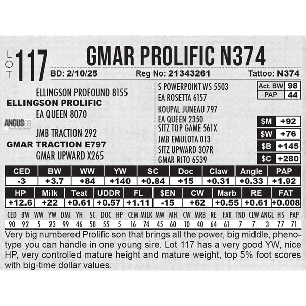 GMAR Prolific N374