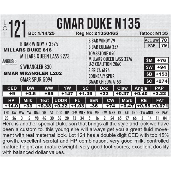 GMAR Duke N135