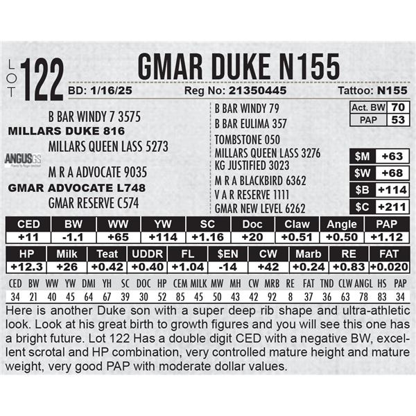 GMAR Duke N155