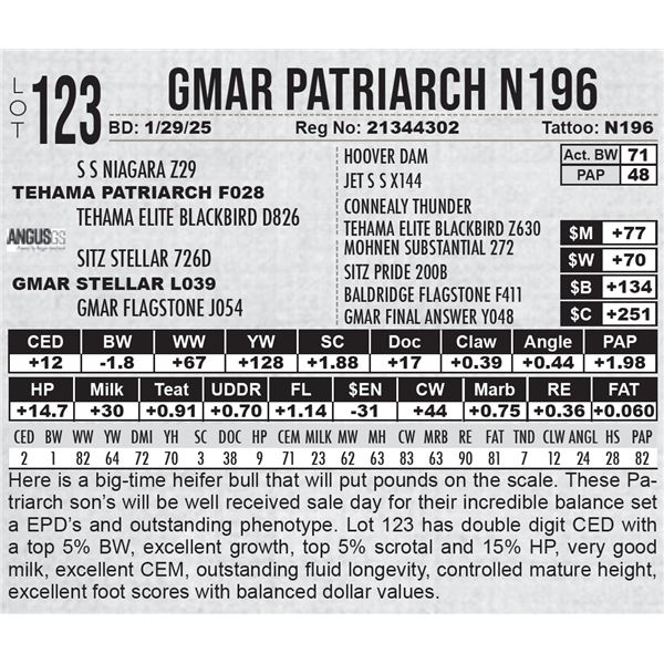 GMAR Patriarch N196