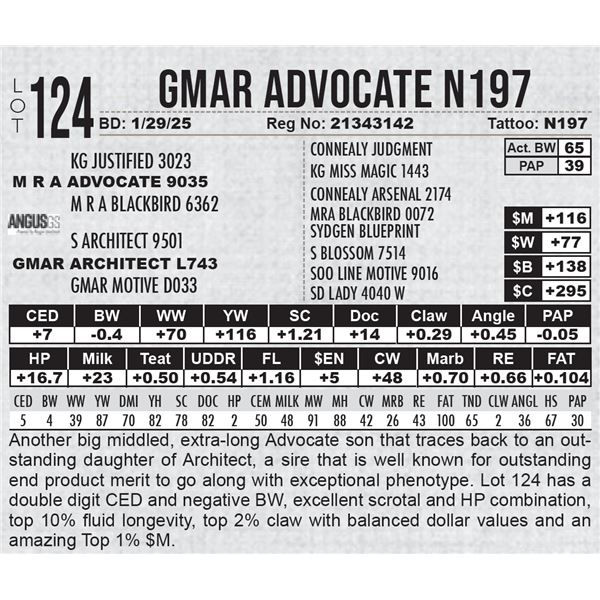 GMAR Advocate N197