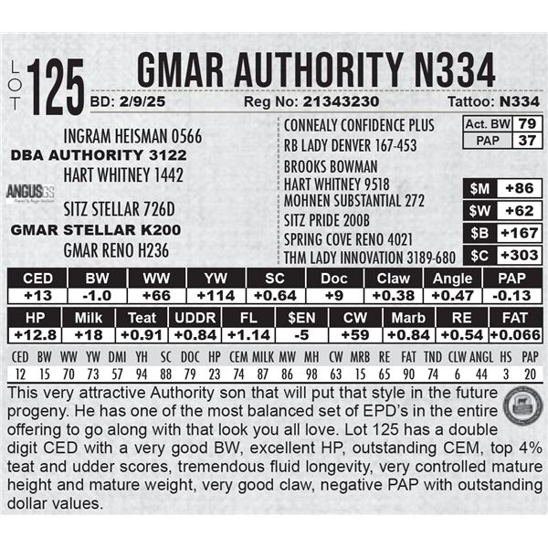 GMAR Authority N334