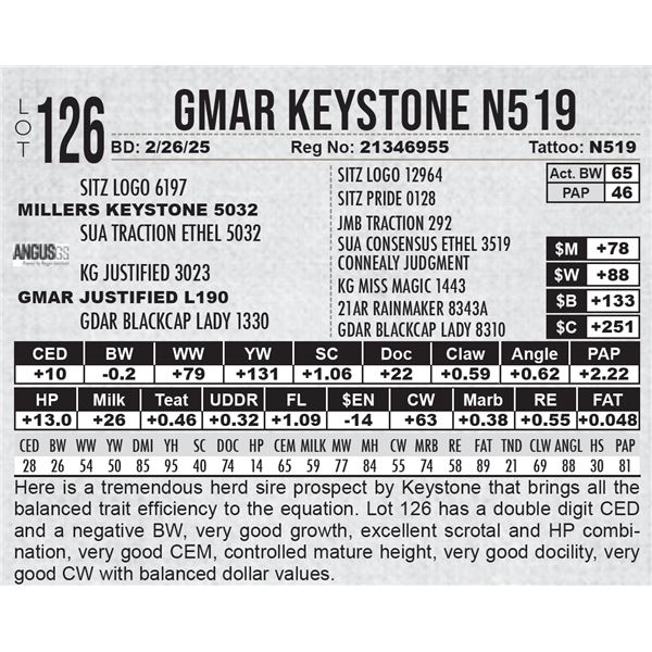 GMAR Keystone N519