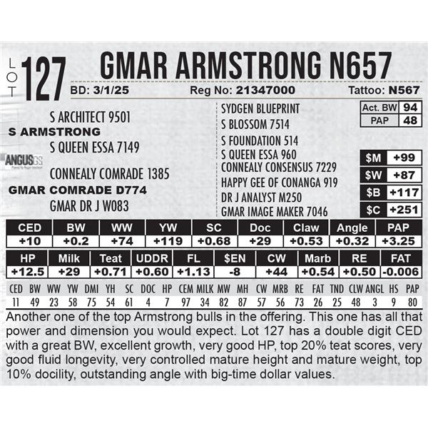 GMAR Armstrong N657