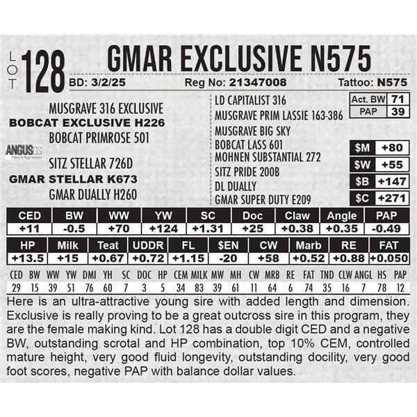 GMAR Exclusive N575