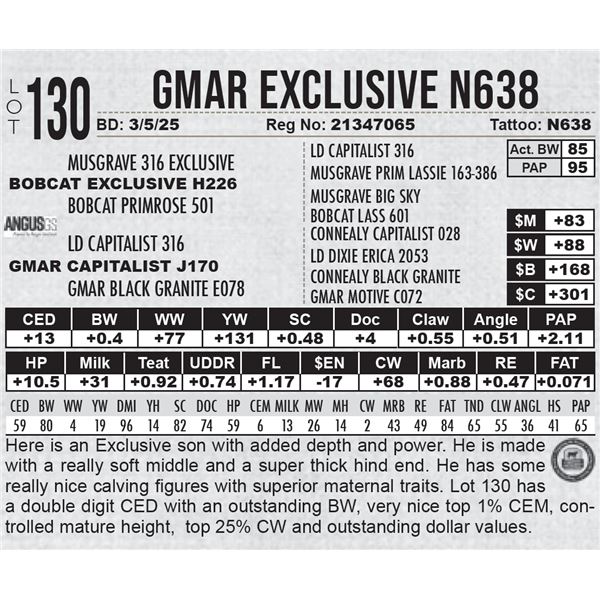 GMAR Exclusive N638