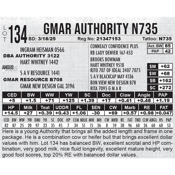 GMAR Authority N735