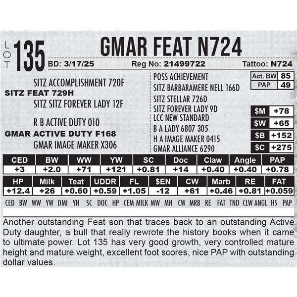 GMAR Feat N724