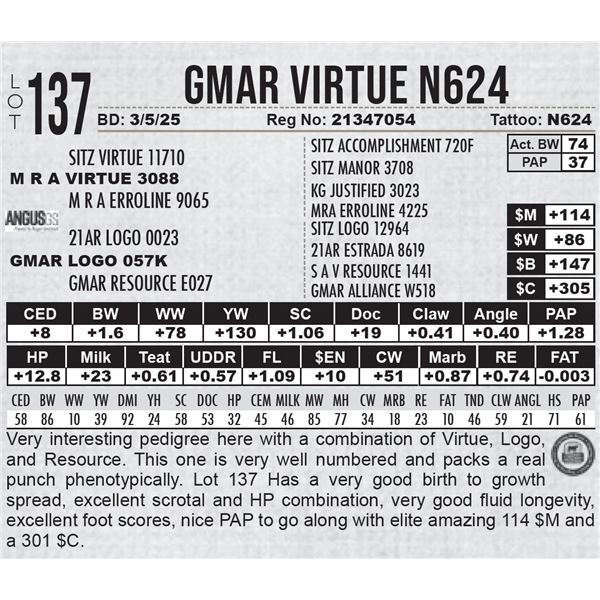 GMAR Virtue N624