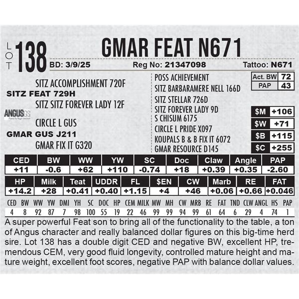 GMAR Feat N671