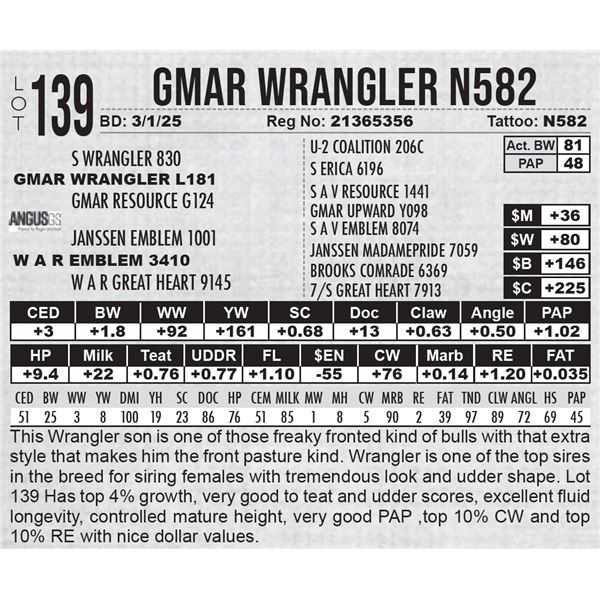 GMAR Wrangler N582