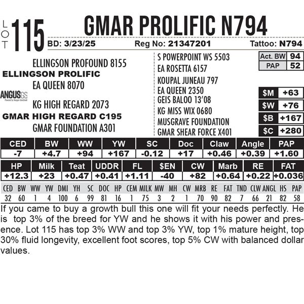 GMAR Prolific N794