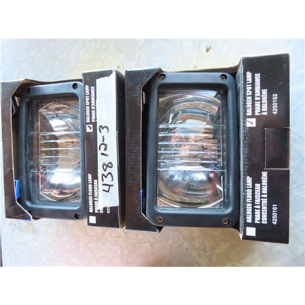 two halogen flood lamps