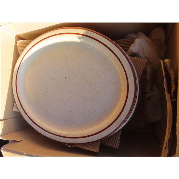 1 dozen dining plates
