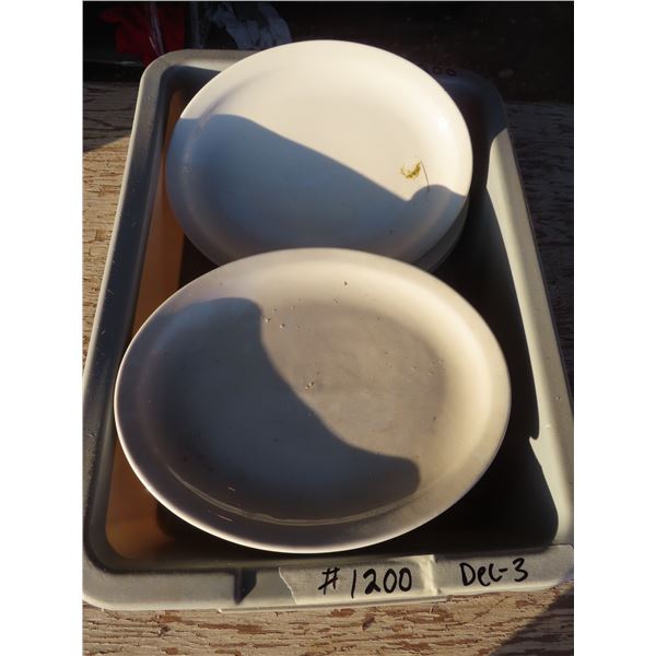 bus pan w/large white dining plates