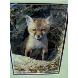 9821 "JUST SHY OF SLY" CARL BRENDERS L.E.P.