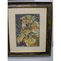 10143 "GOLDEN PERCH" ANDREW KISS L.E.P.