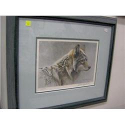 9239 "COYOTE HEAD STUDY" ROBERT BATEMAN  LEP