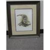 Image 1 : FRAMED PRINT " RACCOON"