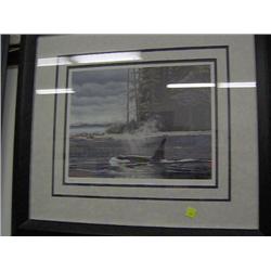 11414 "LONE ORCA" JAMES WEINS L.E.P.