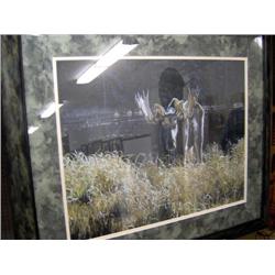 11165 "MOOSE AT WATERS EDGE " PRINT