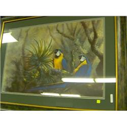 11393 "BLUE + GOLD MACAWS" GAMINI RATNAVIRA