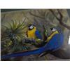 Image 2 : 11393 "BLUE + GOLD MACAWS" GAMINI RATNAVIRA