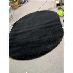 CARPET-----------423