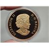 Image 4 : 2013 $3 Canada: An Allegory. Bronze Lady of the North Land. Proof. Housed in its original RCM case &