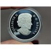 Image 3 : 2016 $20 Baby Raccoon & Mother. Colourized. 99.99% pure Silver. Proof. Housed in its original RCM ca