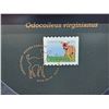 Image 4 : 2015 $20 Baby Animals: The Deer Fawn Stamp & Coin Set. 99.99% pure Silver Colourized White-Tailed De