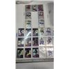 Image 2 : 5 sheets of hockey cards and bundles of empty card sheets