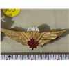 Image 3 : Pair of Canadian Air Force and Paratrooper medals