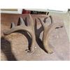 Image 3 : pair of antler sheds