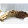 Image 2 : fur hide young moose