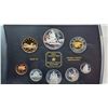 Image 2 : 1999 Canadian 8 coin proof set - Charlotte Islands silver dollar - in case