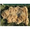 Image 1 : Golden Sheepskin Rug