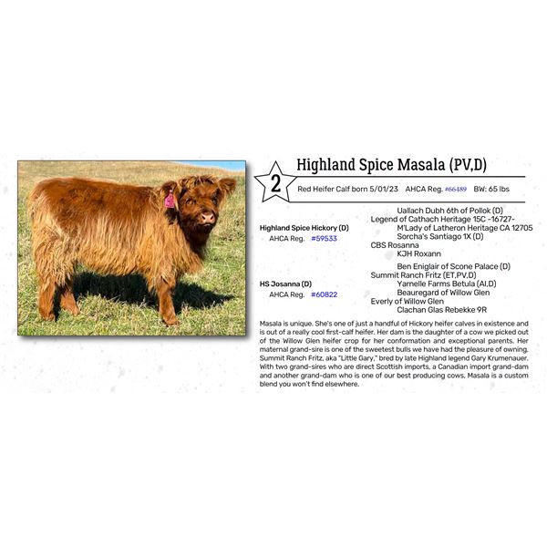 Highland Spice Masala (PV,D)