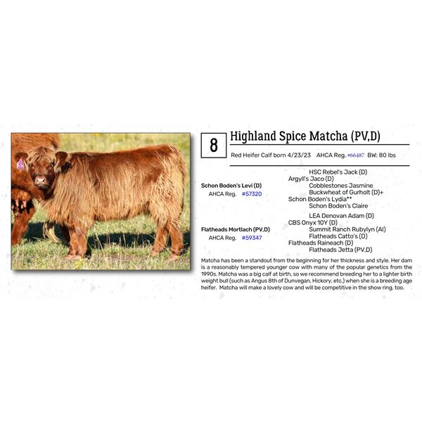 Highland Spice Matcha (PV,D)