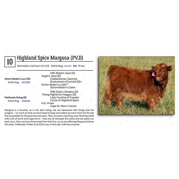 Highland Spice Margosa (PV,D)