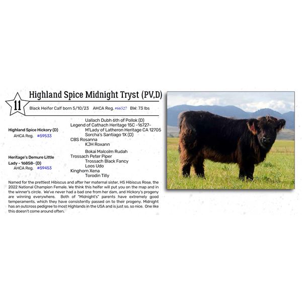 Highland Spice Midnight Tryst (PV,D)