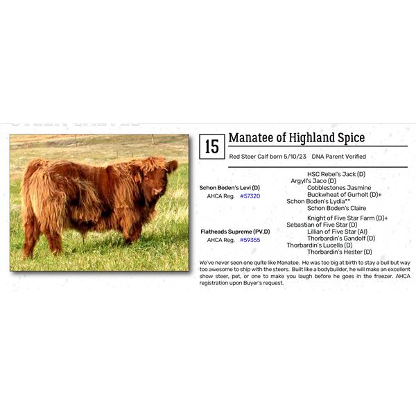 Manatee of Highland Spice