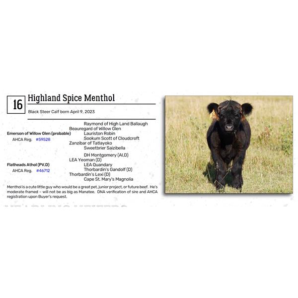 Highland Spice Menthol