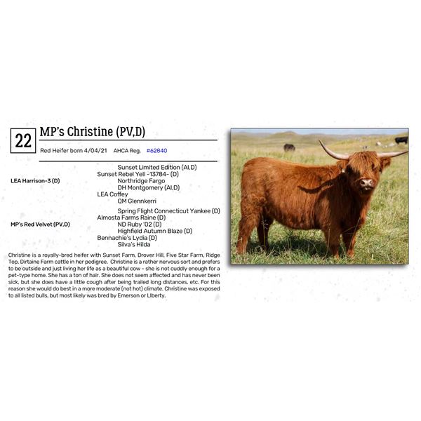 MP’s Christine (PV,D)