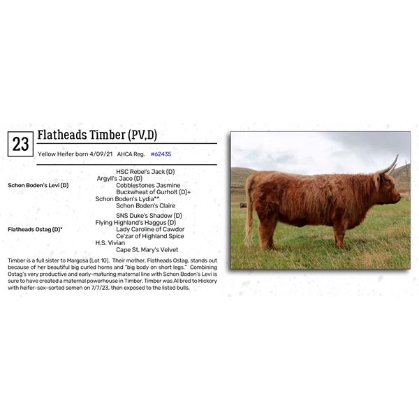 Flatheads Timber (PV,D)