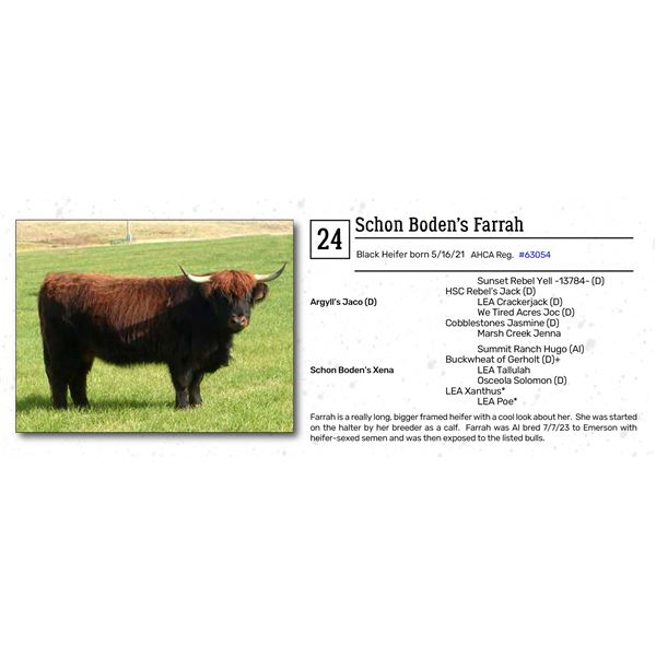 Schon Boden’s Farrah