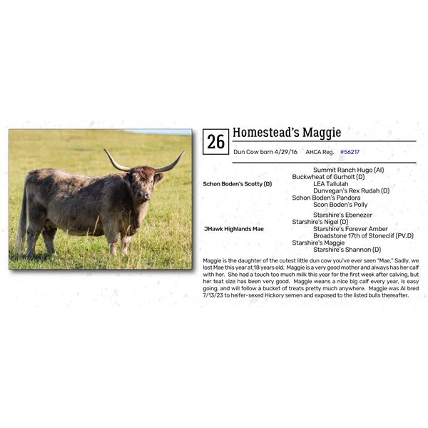 Homestead’s Maggie