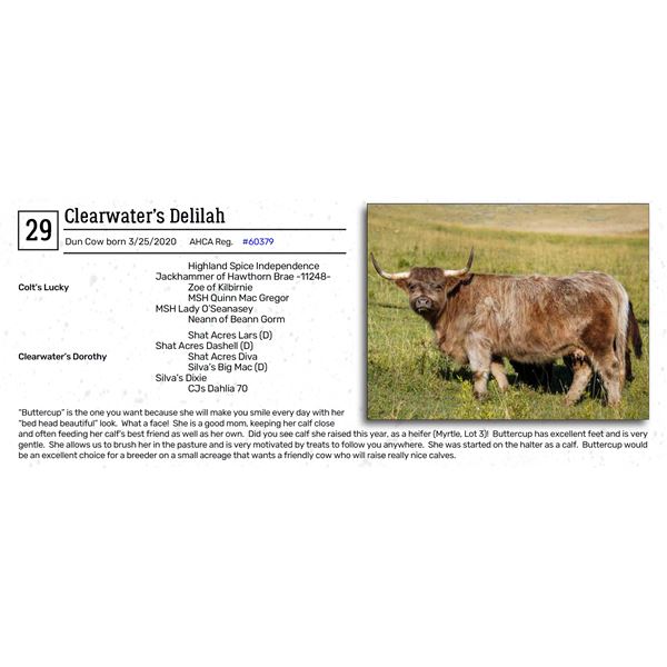 Clearwater’s Delilah