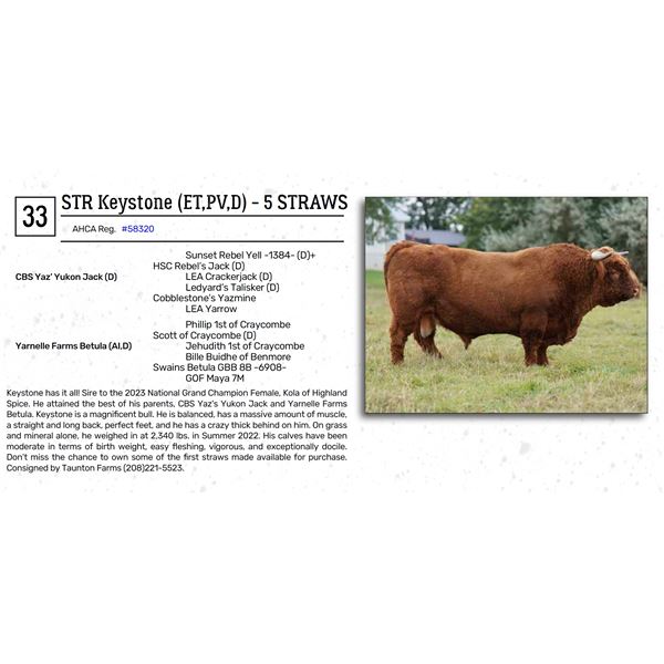 STR Keystone (ET,PV,D) - 5 STRAWS